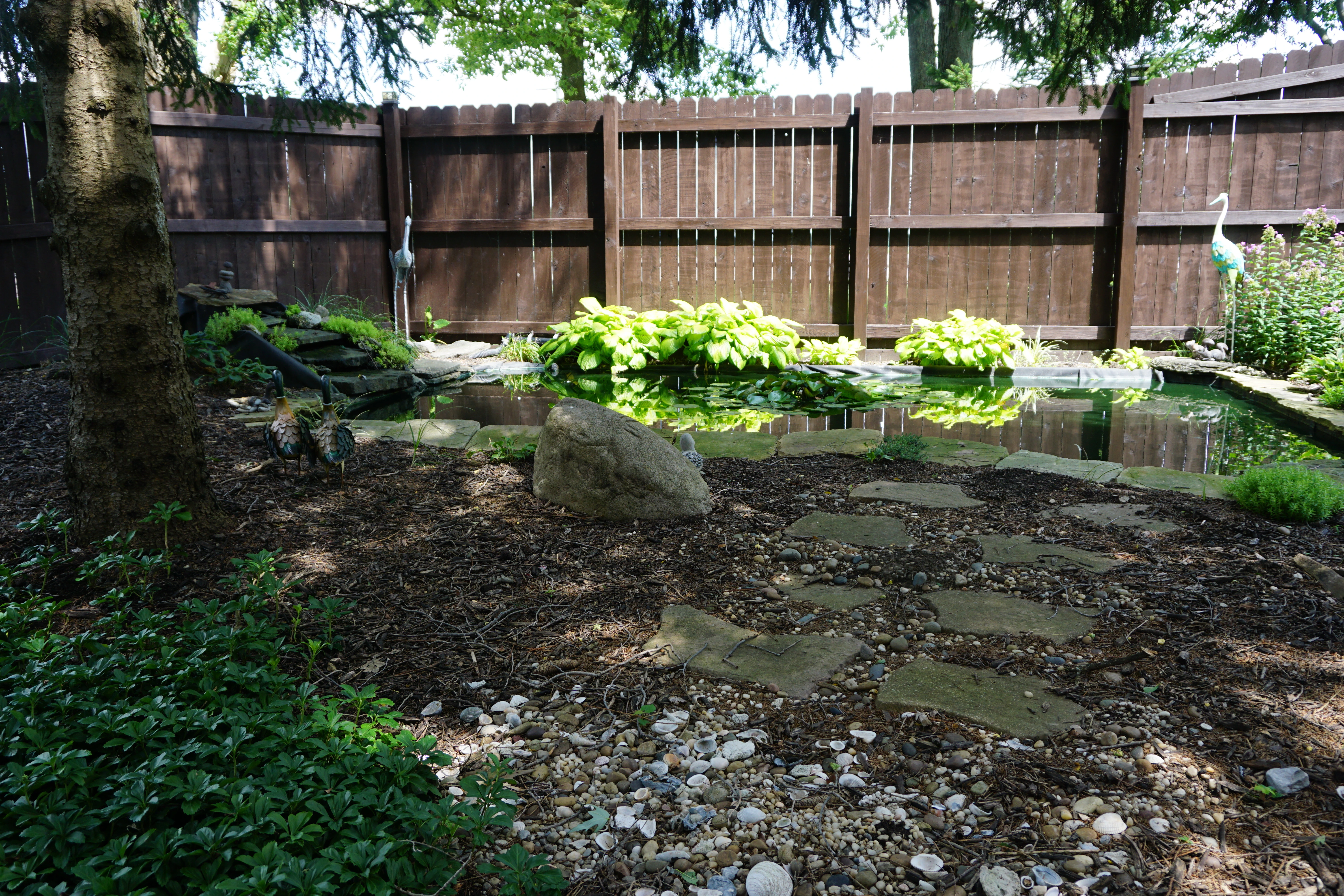 Picture 9